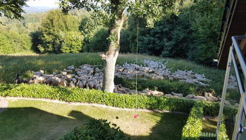 Ferienwohnung "Tecklenburger Augenblicke" - Foto 4