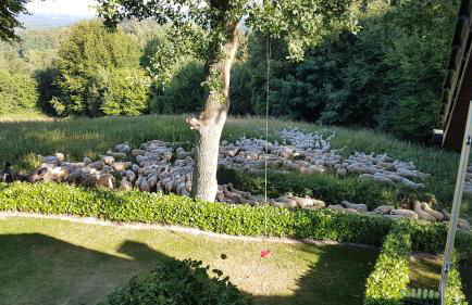 Ferienwohnung "Tecklenburger Augenblicke" - Foto 4