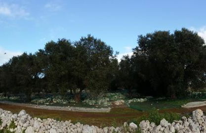 Azienda Agrituristica B&B La Torre - Photo 35