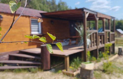 Osada nad żurawim stawem - Foto 4