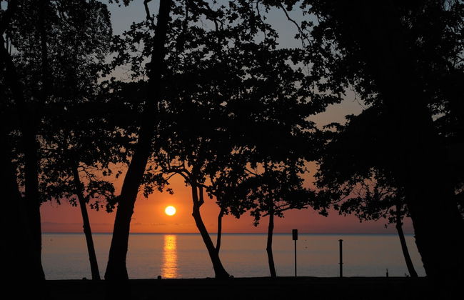 BeachView Apartments at Villa Paradiso - Photo 45