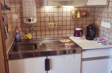 Ferienwohnungen Kremser bei Spiegelau Eppenschlag - Foto 39