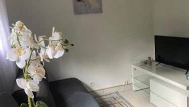 Appartement cosy 15 min d'Orly - Foto 5