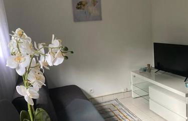 Appartement cosy 15 min d'Orly - Foto 5