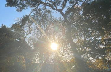 Westbourne Alum Chine Loft apartment - Photo 42