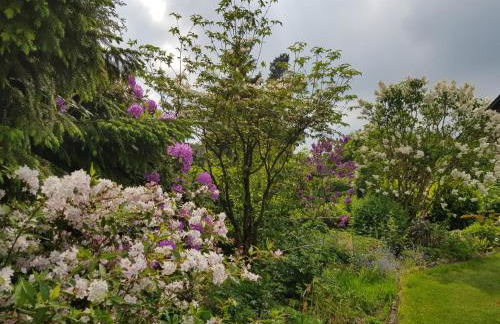 Ferienwohnung Monschauer Land - Foto 39