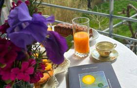 Grandmother's House - Foto 2