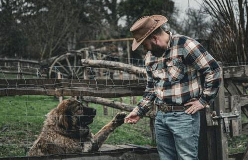 Le Ranch Normand - Foto 7