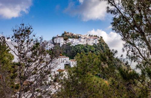 2060-Newly furnished 2 bedrooms apt with golf - Photo 43