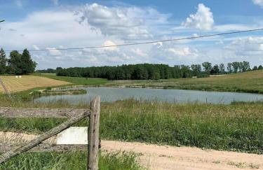 Dom nad jeziorem Granicznym - Foto 25