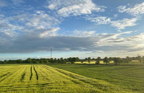 Ferienwohnung Bock im Seenland - Foto 1