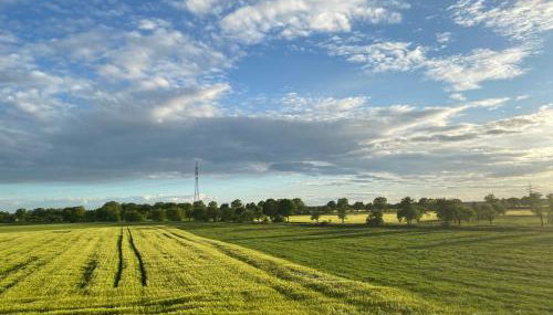 Ferienwohnung Bock im Seenland - Foto 1
