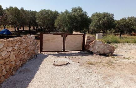 Tenuta L'uliveto - Foto 46