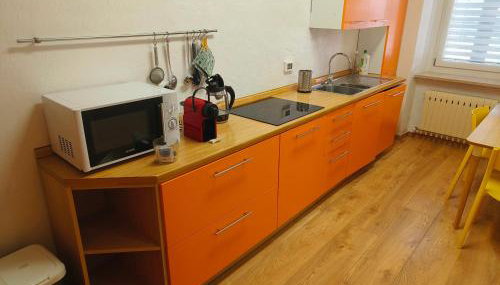 Appartamento vista Parco Adamello Brenta - Foto 3