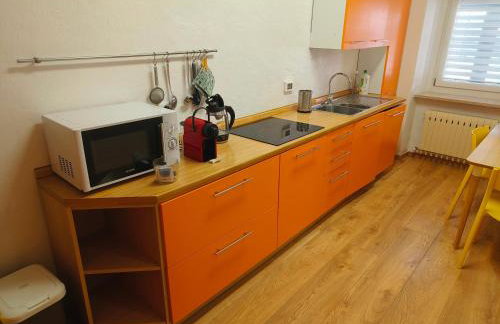 Appartamento vista Parco Adamello Brenta - Foto 2