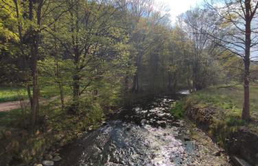 Ferienwohnung am Rabenauer Grund - Photo 18