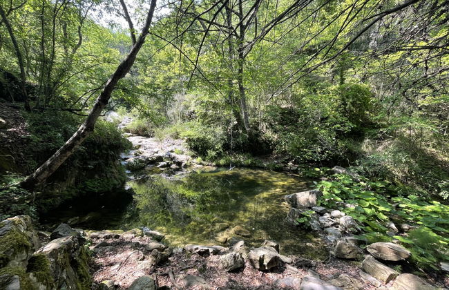 3 bedroom Apartment in Prelà with garden and terrace - Photo 16