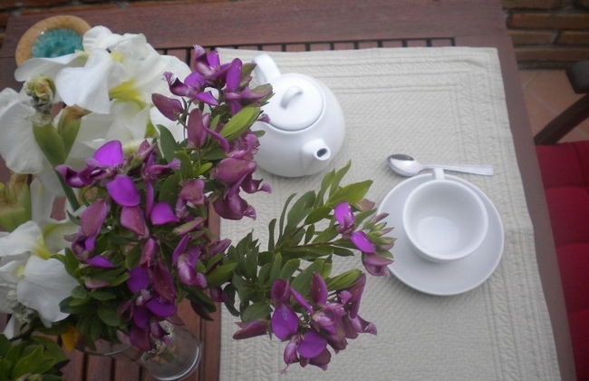 Agriturismo La Mancosa - Foto 9