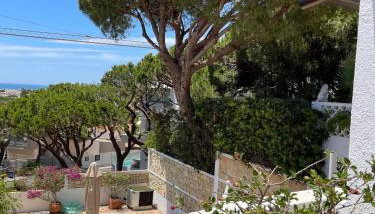 Vila Antic - Photo 2