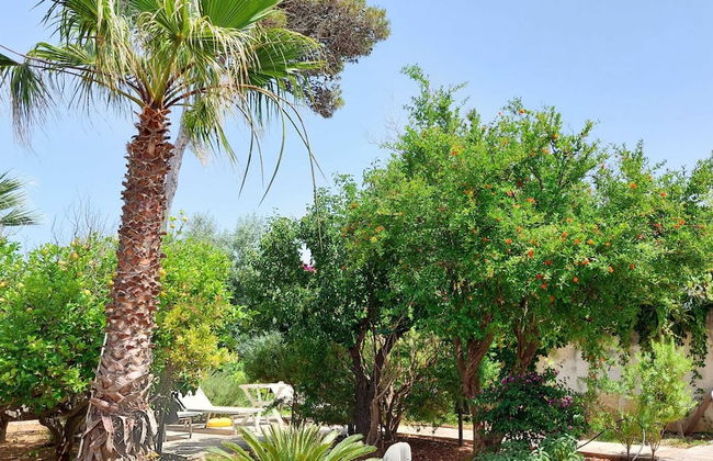 Buena Vista - Country Villa - Foto 11