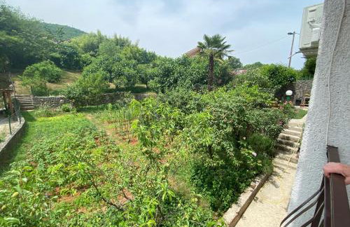 Apartman Mira - Photo 47