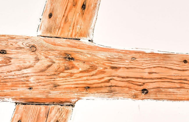 Gemuetliches Apartment in Behmkenhagen mit Terrasse - Foto 21