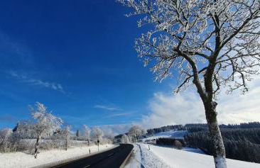 Haus Schneider - Photo 16