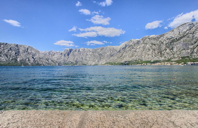 Apartments Ivanovic - Photo 78