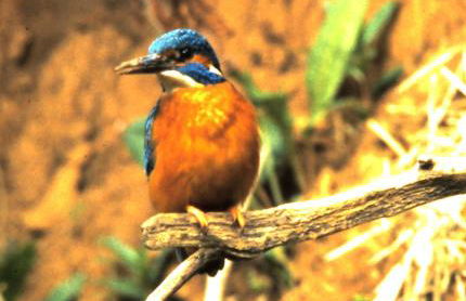 Tucking Mill View- Self Catering - Photo 72