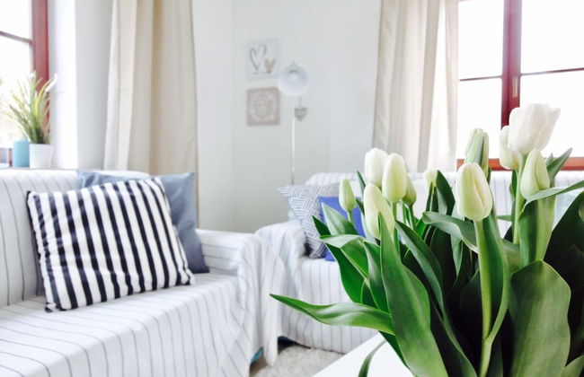 Osada Zamkowa Sun&Snow - Foto 69