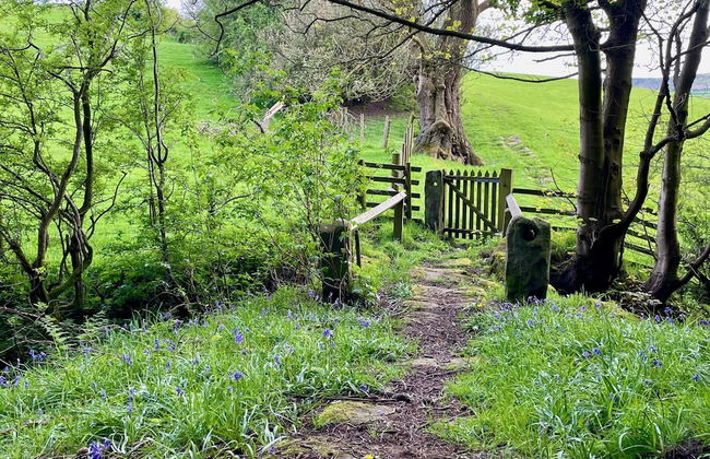 Church House Farm - Foto 44