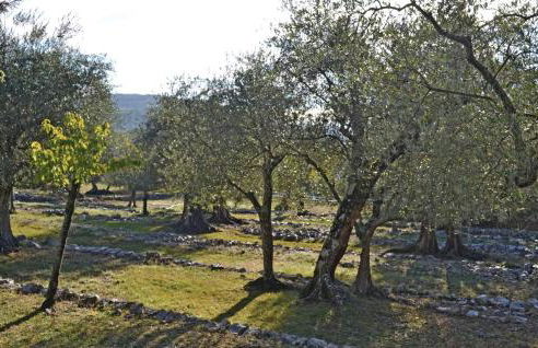 Amazing Home In St Cézaire Sur Siagne - Foto 16