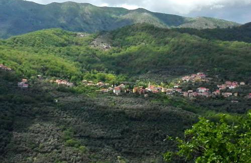 Casa Tainin - Foto 18