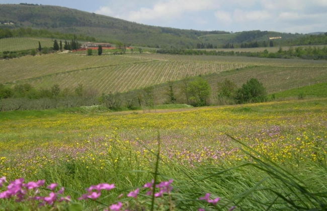 Apartment in Tuscany Near Florence - Foto 24