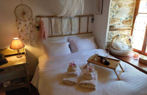 ΑΡΧΟΝΤΙΚΟ ΑΡΤΕΜΙΣ-Villa Artemis since 1871 - Foto 11