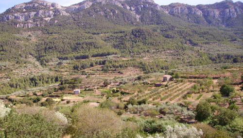 Ca Les Barberes - Photo 3, Garden view