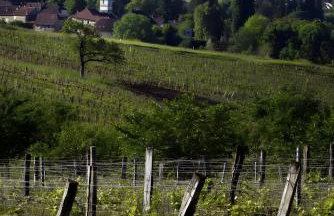 Gîte À La Ferme - Le Nid - Foto 11