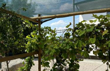 Casa Martina - Foto 20