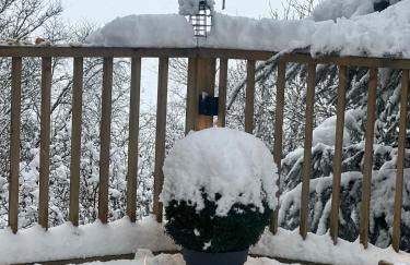 The Pines Treehouse at Treetops Hideouts - Foto 27