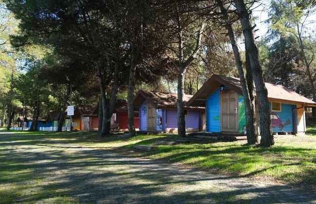 ÇINARSUYU TABİAT PARKI BUNGALOV - Foto 16