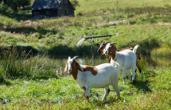 Holiday Apartment Morning Sun - Foto 4