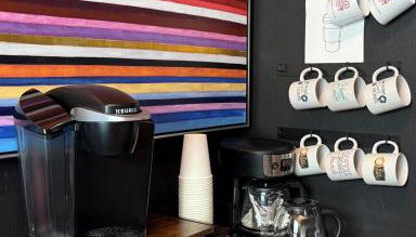 1st Animatronic Dinosaur Villa - Photo 5