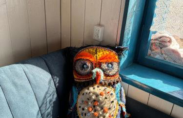 Zdzisiówka - Foto 11