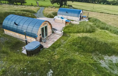 Barcud Coch - Uk44539 - Foto 23