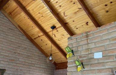 Chalés de Hórus - Foto 51