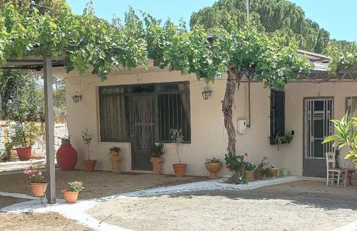 Mycenae rustic house, Ολόκληρο σπίτι στις Μυκήνες - Foto 31