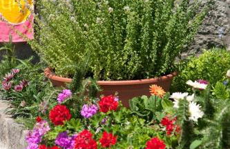 Residence Le Vigne - Foto 46