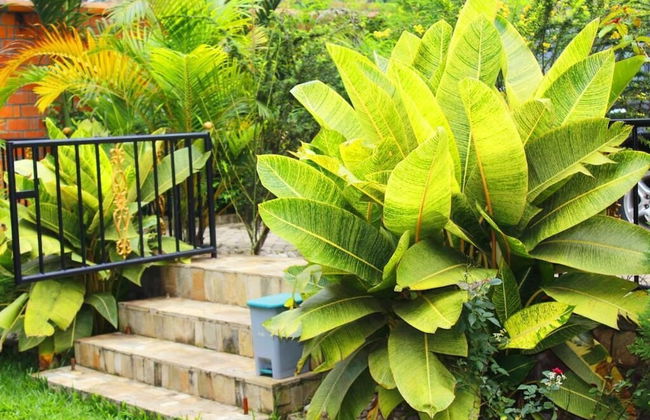 Ecoair Apartment Hotel - Foto 50