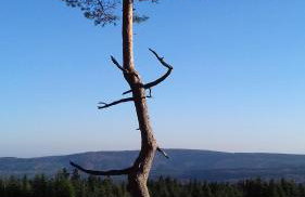 Apartment Schoenblick - Foto 12