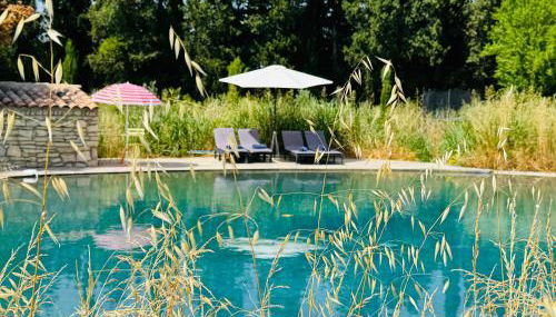 La palasse - Photo 2